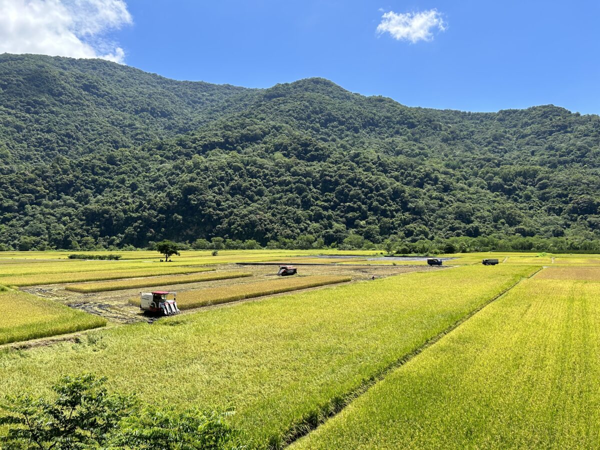 畫映秀姑巒